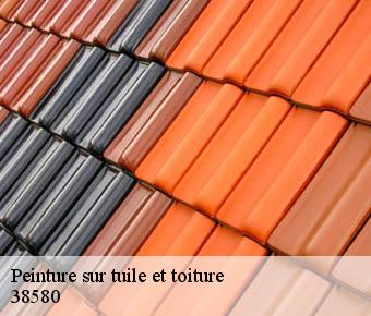 Peinture sur tuile et toiture  38580