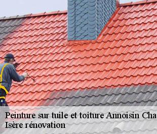 Peinture sur tuile et toiture  annoisin-chatelans-38460 Isère rénovation