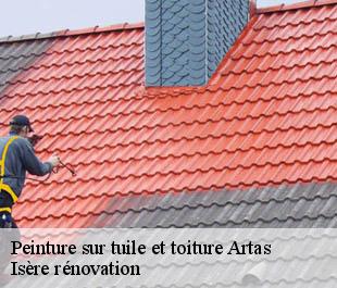Peinture sur tuile et toiture  artas-38440 Isère rénovation