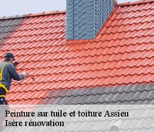 Peinture sur tuile et toiture  assieu-38150 Isère rénovation