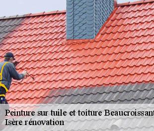 Peinture sur tuile et toiture  beaucroissant-38140 Isère rénovation