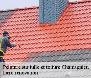 Peinture sur tuile et toiture  chamagnieu-38460 Isère rénovation