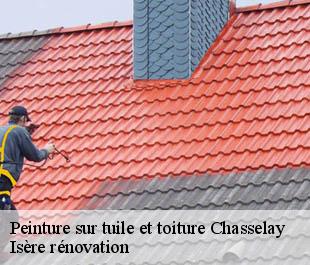 Peinture sur tuile et toiture chasselay-38470 Isère rénovation