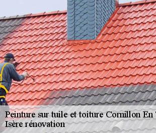 Peinture sur tuile et toiture cornillon-en-trieves-38710 Isère rénovation