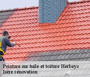 Peinture sur tuile et toiture herbeys-38320 Isère rénovation