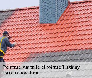 Peinture sur tuile et toiture  luzinay-38200 Isère rénovation