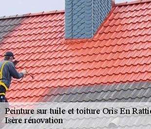 Peinture sur tuile et toiture  oris-en-rattier-38350 Isère rénovation