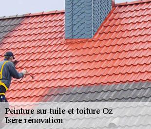Peinture sur tuile et toiture oz-38114 Isère rénovation