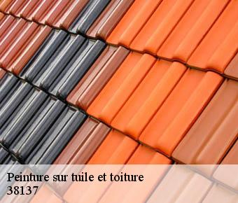 Peinture sur tuile et toiture  38137