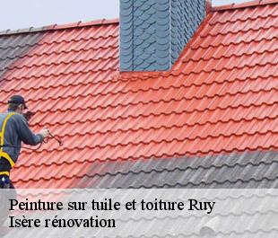 Peinture sur tuile et toiture  ruy-38300 Isère rénovation