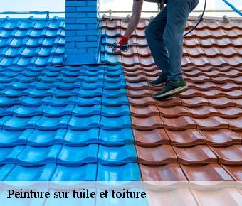 Peinture sur tuile et toiture