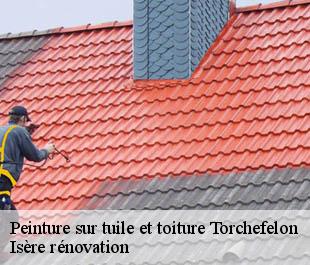 Peinture sur tuile et toiture torchefelon-38690 Isère rénovation