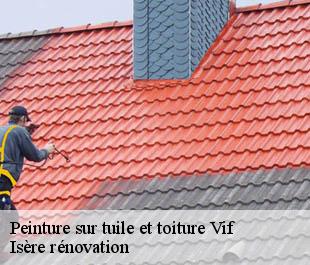 Peinture sur tuile et toiture vif-38450 Isère rénovation