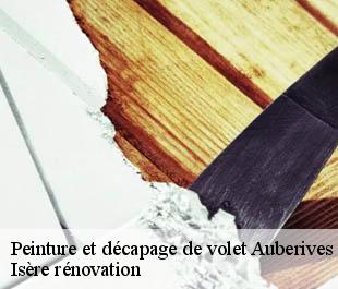 Peinture et décapage de volet  auberives-en-royans-38680 Isère rénovation