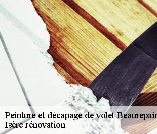 Peinture et décapage de volet  beaurepaire-38270 Isère rénovation