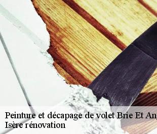 Peinture et décapage de volet  brie-et-angonnes-38320 Isère rénovation