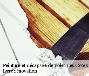 Peinture et décapage de volet les-cotes-de-corps-38970 Isère rénovation