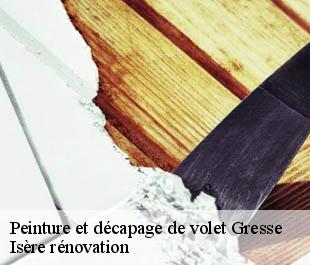 Peinture et décapage de volet gresse-38650 Isère rénovation