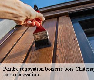Peintre rénovation boiserie bois  chatenay-38980 Isère rénovation