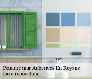 Peinture mur  auberives-en-royans-38680 Isère rénovation