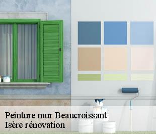 Peinture mur  beaucroissant-38140 Isère rénovation