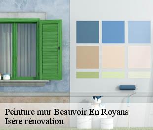 Peinture mur  beauvoir-en-royans-38160 Isère rénovation