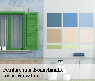 Peinture mur bonnefamille-38090 Isère rénovation