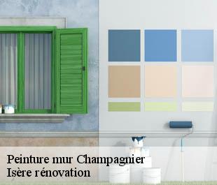 Peinture mur  champagnier-38800 Isère rénovation