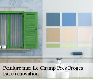 Peinture mur  le-champ-pres-froges-38190 Isère rénovation