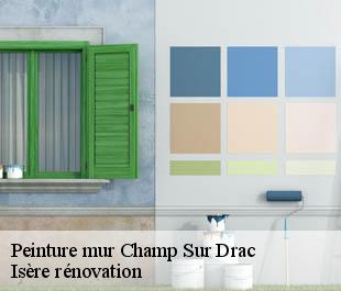 Peinture mur  champ-sur-drac-38560 Isère rénovation