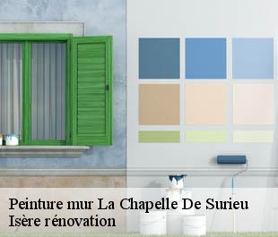 Peinture mur la-chapelle-de-surieu-38150 Isère rénovation