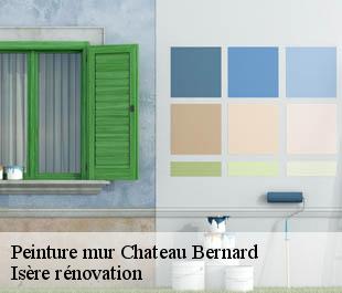 Peinture mur  chateau-bernard-38650 Isère rénovation