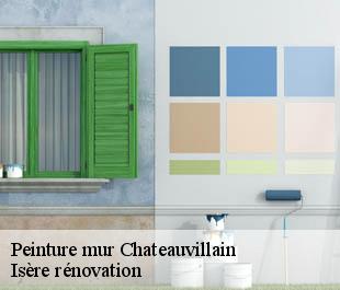 Peinture mur  chateauvillain-38300 Isère rénovation
