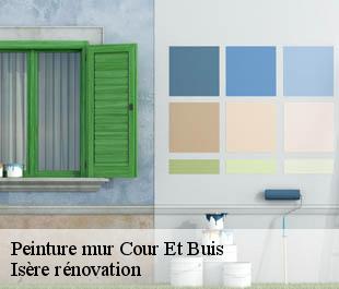 Peinture mur  cour-et-buis-38122 Isère rénovation