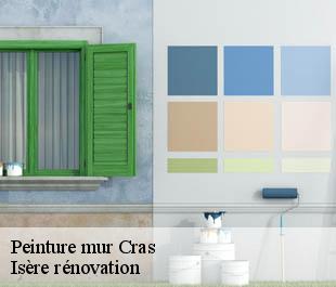 Peinture mur cras-38210 Isère rénovation
