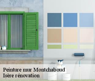 Peinture mur  montchaboud-38220 Isère rénovation