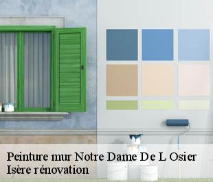 Peinture mur  notre-dame-de-l-osier-38470 Isère rénovation