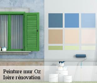 Peinture mur  oz-38114 Isère rénovation