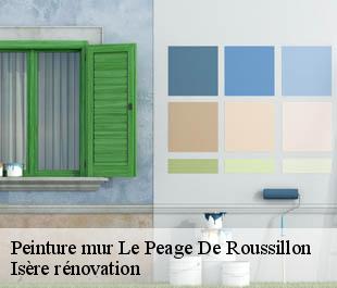 Peinture mur  le-peage-de-roussillon-38550 Isère rénovation