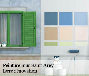 Peinture mur  saint-arey-38350 Isère rénovation