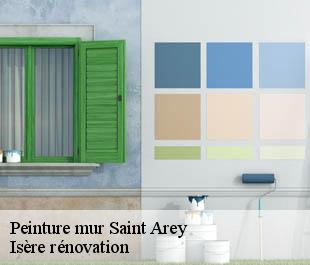 Peinture mur saint-arey-38350 Isère rénovation