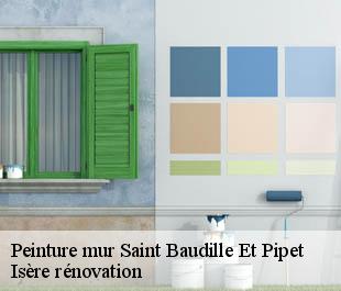 Peinture mur  saint-baudille-et-pipet-38710 Isère rénovation