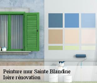 Peinture mur  sainte-blandine-38110 Isère rénovation