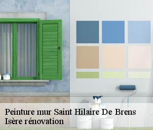 Peinture mur  saint-hilaire-de-brens-38460 Isère rénovation