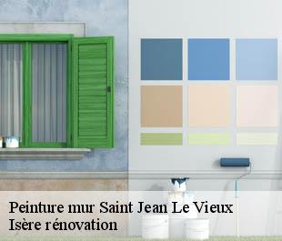 Peinture mur saint-jean-le-vieux-38420 Isère rénovation