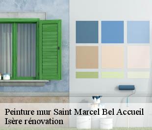 Peinture mur  saint-marcel-bel-accueil-38080 Isère rénovation
