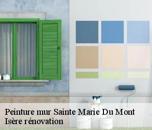 Peinture mur  sainte-marie-du-mont-38660 Isère rénovation