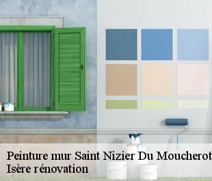 Peinture mur  saint-nizier-du-moucherotte-38250 Isère rénovation