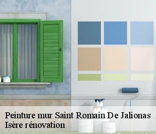 Peinture mur  saint-romain-de-jalionas-38460 Isère rénovation