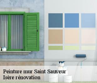 Peinture mur saint-sauveur-38160 Isère rénovation